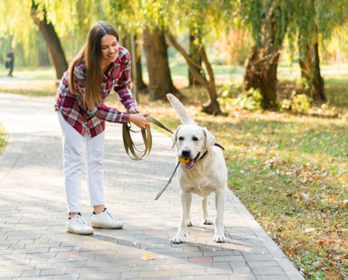 our client from Malaysia